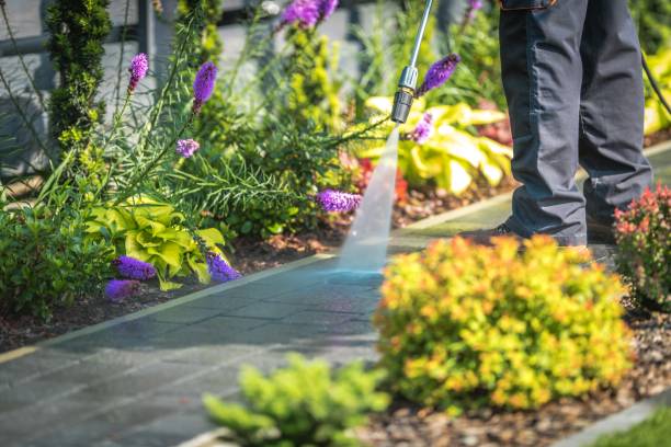 Winterizing Services in Delshire, OH