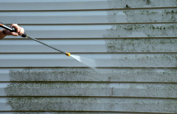 Best Pool Deck Cleaning  in Delshire, OH